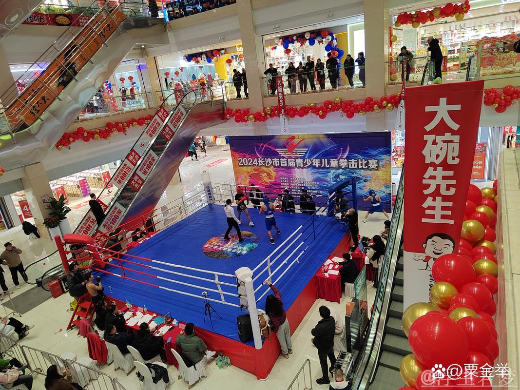 湖南拳击竞技盛典揭幕 湖南拳击竞技盛典揭幕